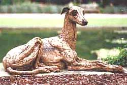 Greyhound 1