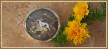 MF: Up Here In The Clouds - Click For Enlargement