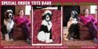 BD: Amazing Amber - Click For Enlargement