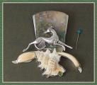 MF: Seashells by the Seashore - Click For Enlargement