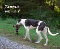 Zinnia Brockhoff  6/7/97 - 7/19/11 - Click For Enlargement