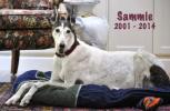 Sammie Brockhoff 2001-2014 - Click For Enlargement